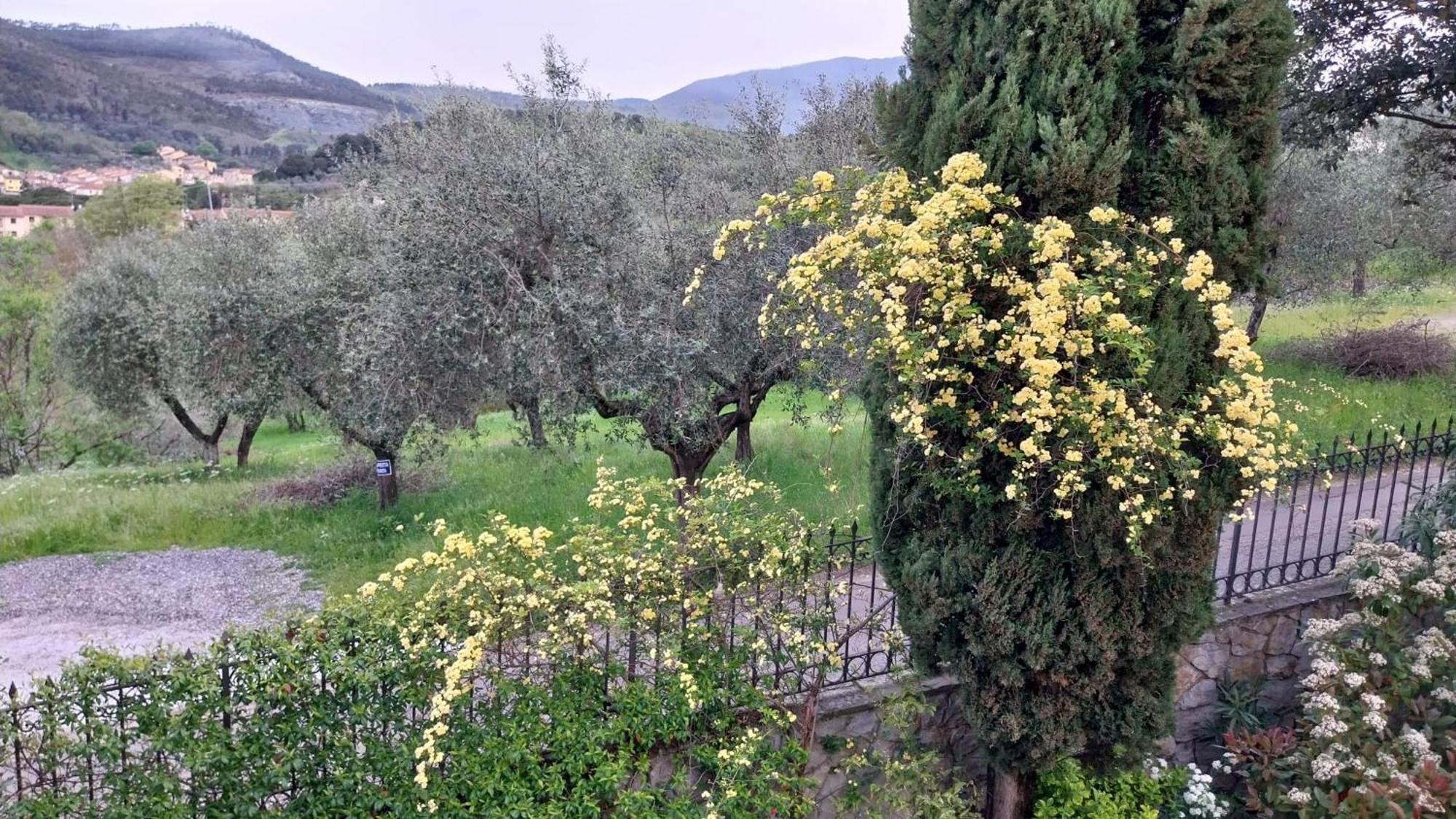Villa Salviati Prato  Luaran gambar